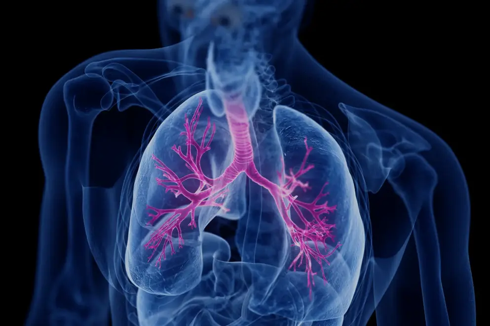 3d image of lungs blue and pink