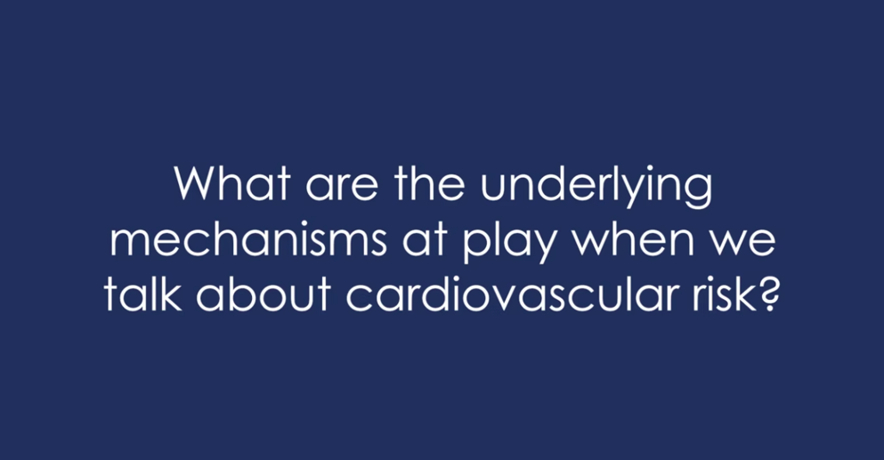 what are the underlying mechanisms at play when we talk about cardiovascular risk