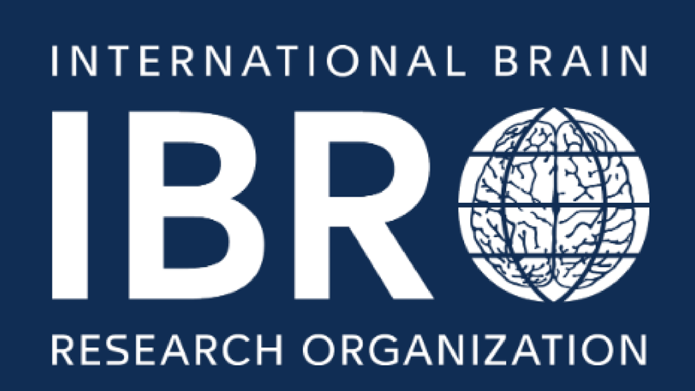 11th International Brain Research Organization (IBRO) 2023 logo