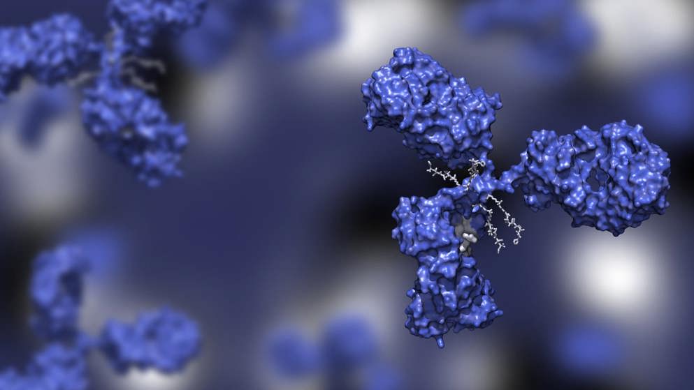 Antibody drug conjugate in blue with four drug compounds linked to IgG immunoglobulin; ADC in blue against blue background 3d render