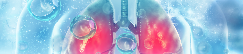 What is pneumonia? Education and communication between physicians