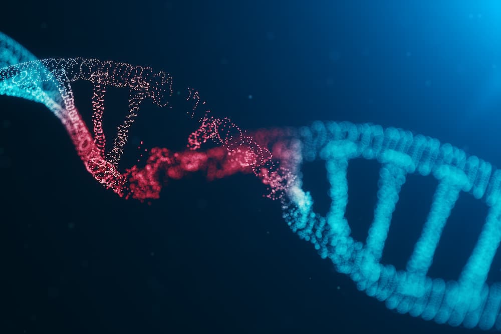 DNA repair