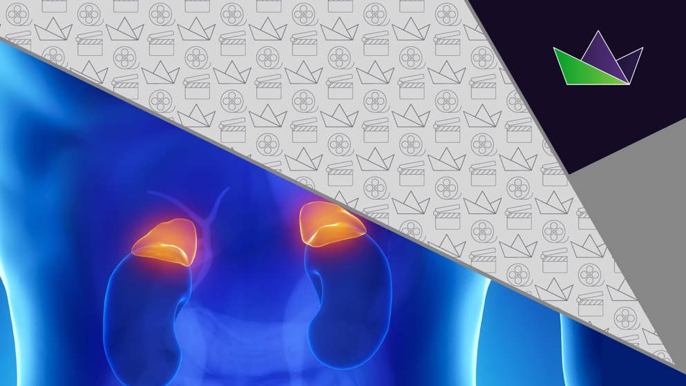 Were there any developments regarding the overlap between CKD and Type 2 Diabetes at the ERA 2022 Congress