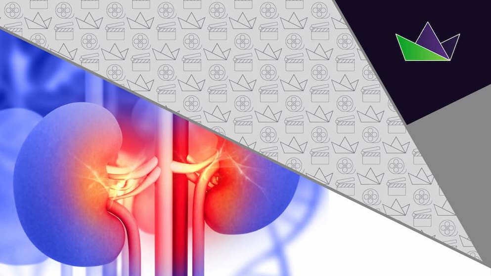 What are the recommendations for optimising the management of comorbid conditions in patients at risk of chronic kidney disease