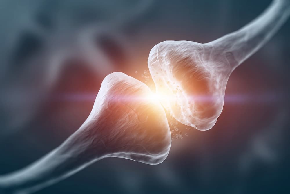 Biology of treatment-resistant depression