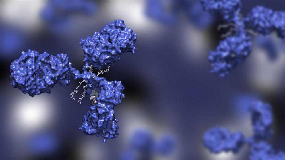 Antibody–drug conjugate in blue with four drug compounds on a blurred background.