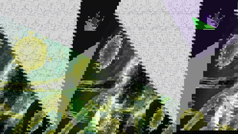 What do we understand about vaccines for people with MS in the COVID-19 era