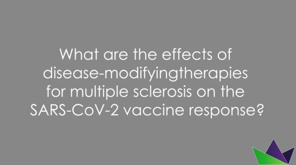 What are the effects of disease-modifying therapies for multiple sclerosis on the SARS-COV-2 vaccine response?