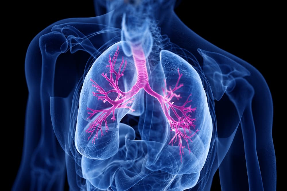 Inhaled Respiratory Therapies