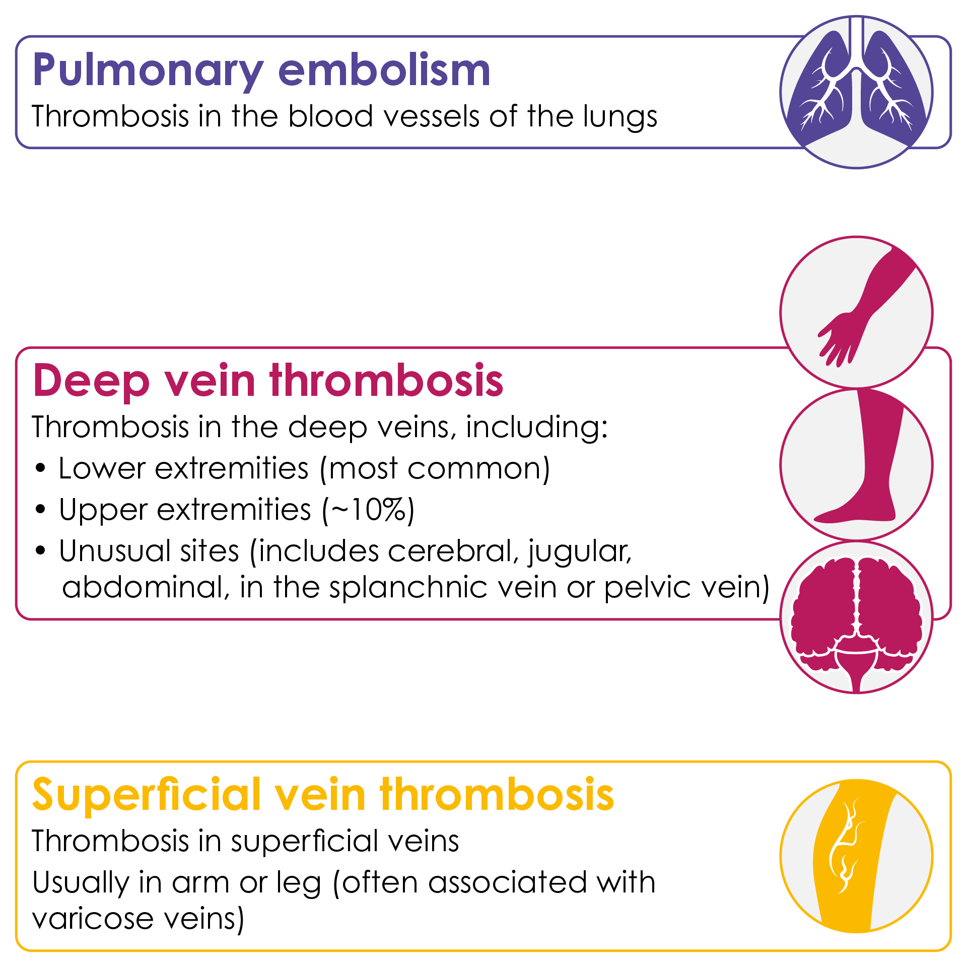 Vte Venous Thromboembolism Vte Learning Zone Medthority Com