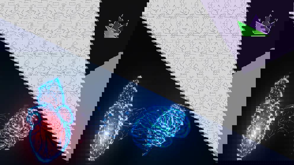 In patients where ablation has been successful, how would you continue to manage their risk of stroke?