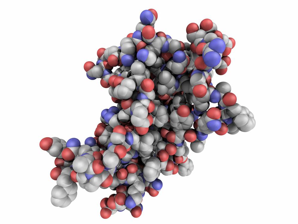 Molecule