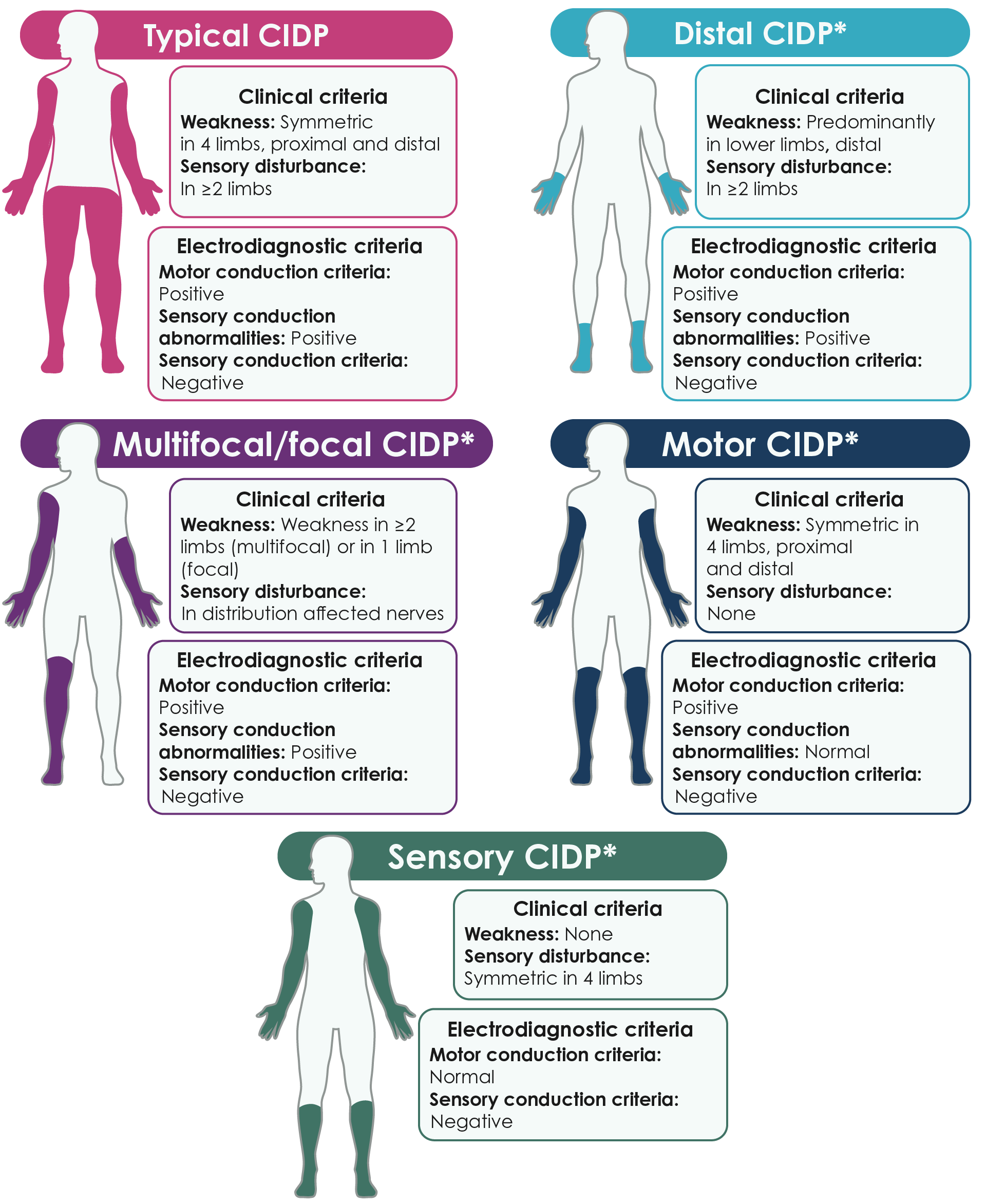 Diagram of five people, each representing different types of CIDP. The image highlights variations in electrodiagnostic and clinical criteria for each variant, including differences in weakness, sensory disturbance, motor conduction, and sensory conduction.