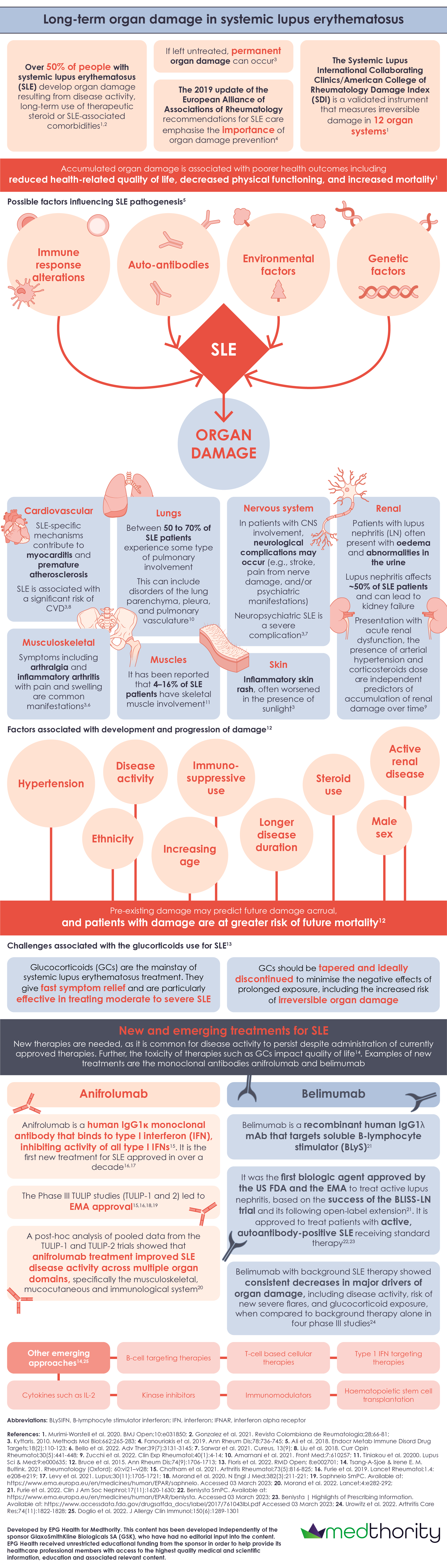 Long-term organ damage and new treatments for SLE