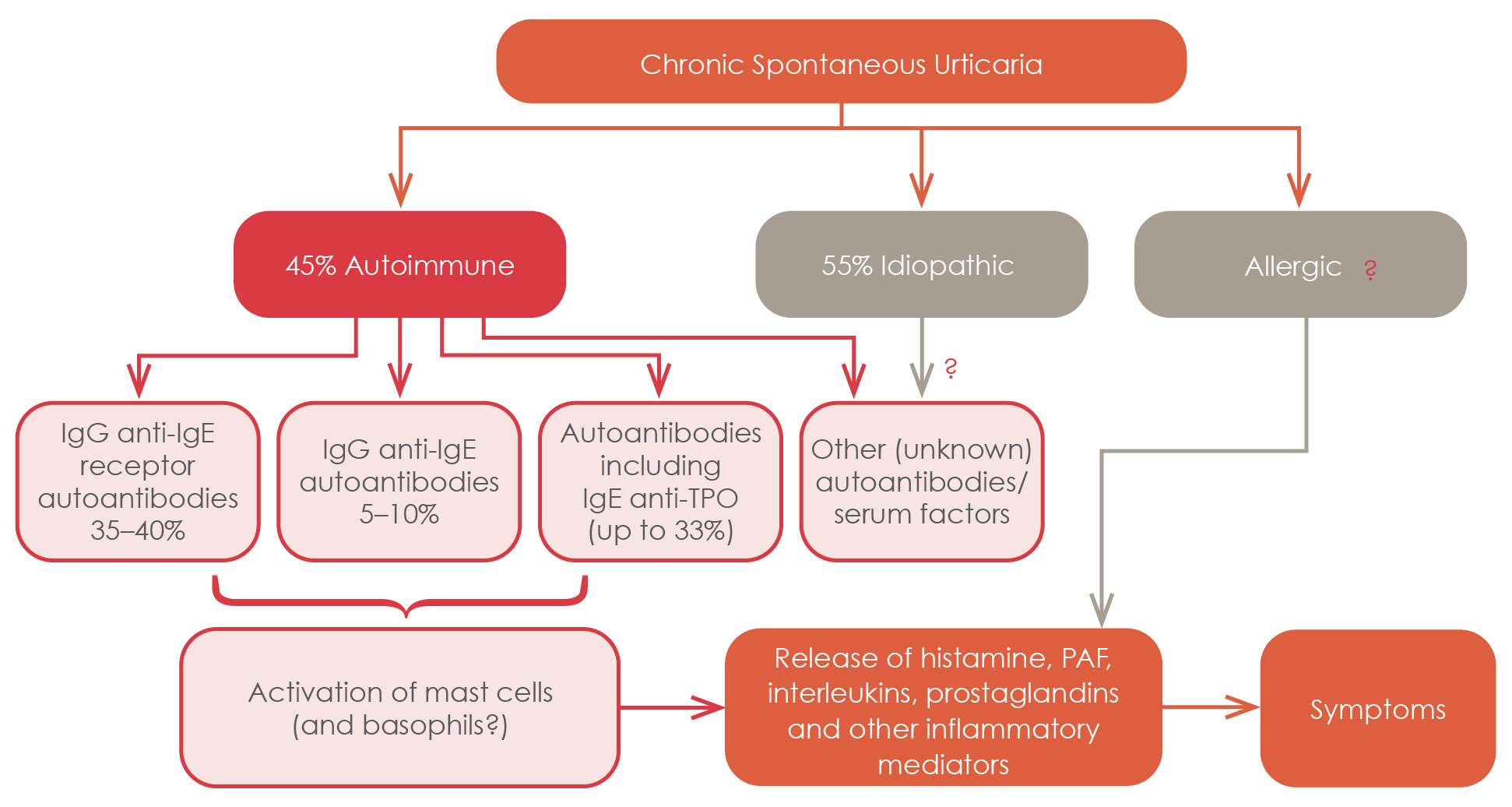 Pathogenesis of CSU summary
