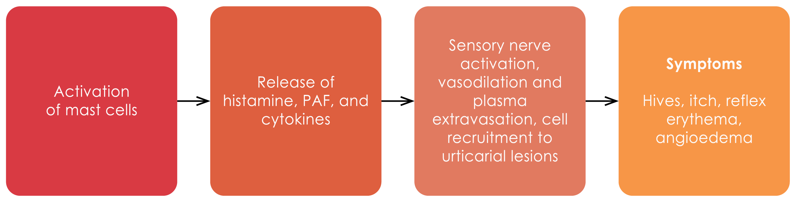 Interactions of mast cells on urticaria symptoms