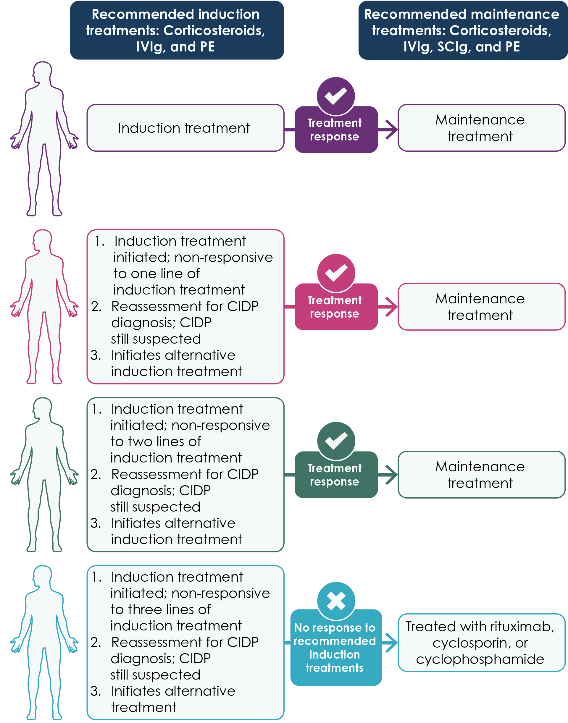 Illustration depicting induction and maintenance treatments for people with CIDP based on clinical guidelines. Recommended steps for treatment are shown. If induction treatment fails, re-evaluation of the diagnosis and initiation of alternative induction treatment are advised.