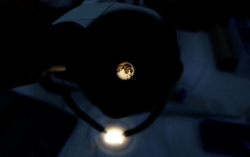 Health Rounds: Carrying babies in cloth treated with insecticide reduces malaria cases-