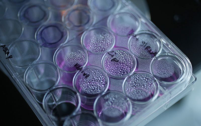Widely used asthma drug may improve performance of cancer immunotherapies-