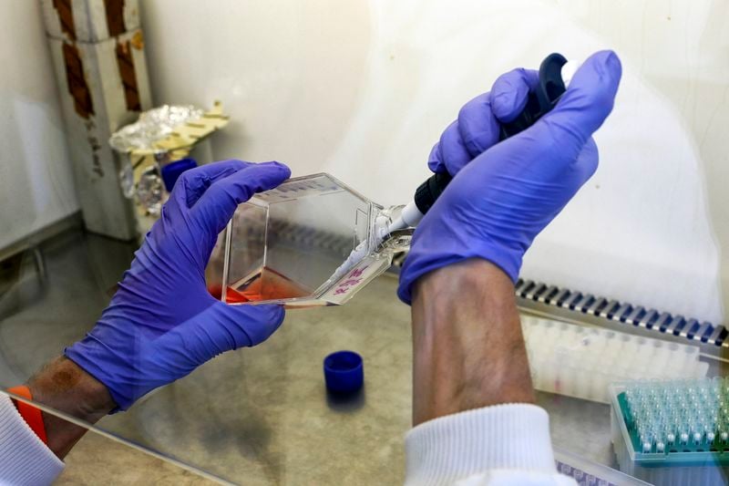 CAR-T therapy brings hope to kidney patients with few transplant options-
