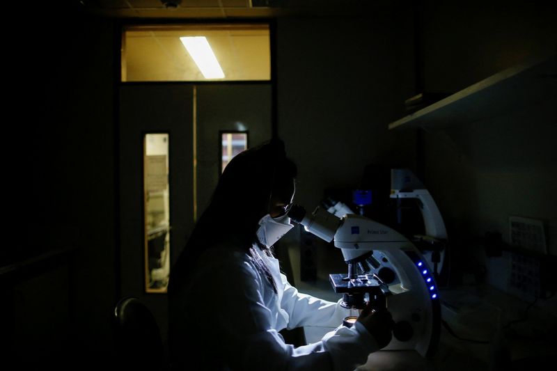 Older drug reprograms white blood cells, improves blood sugar in type 1 diabetes-