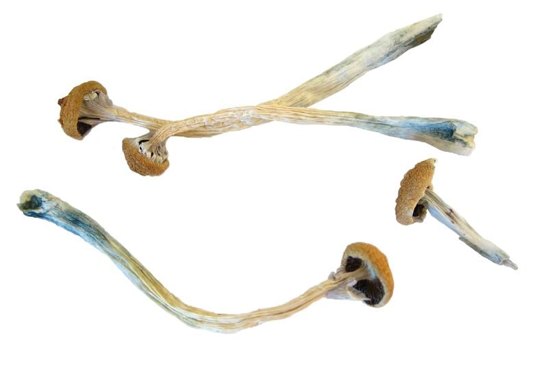 Health Rounds: Psychedelic drug shows promise for preventing chemotherapy-induced nerve damage-